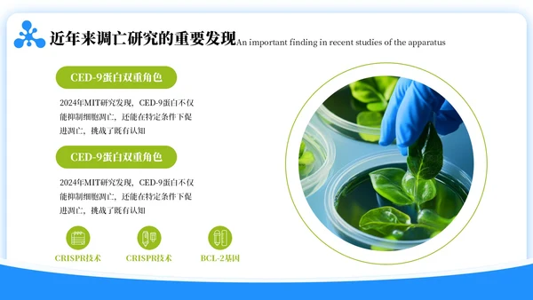 蓝绿色简约风生物学毕业答辩ppt模板