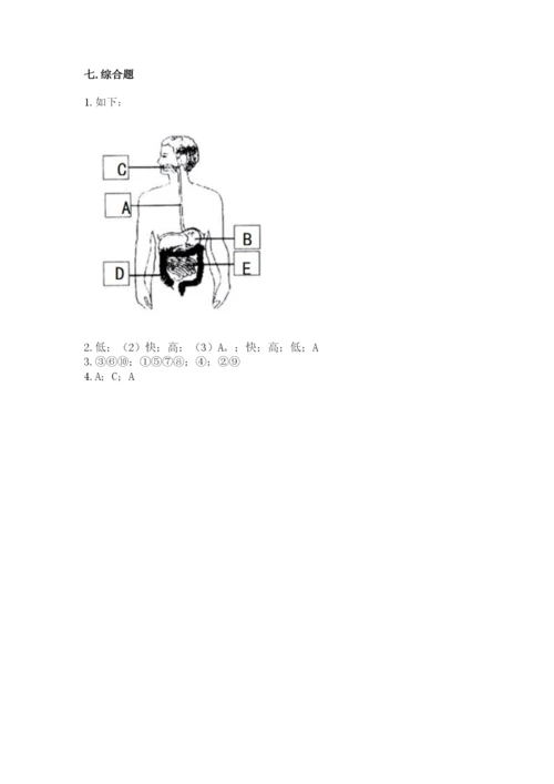 教科版四年级上册科学期末测试卷加下载答案.docx