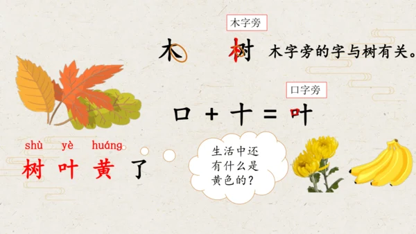 课文1 秋天  课件