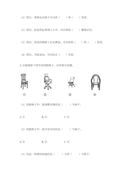 教科版二年级上册科学期末测试卷精品（网校专用）.docx