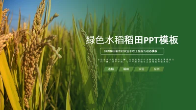 农业生产春耕三农新农村乡村振兴稻田水稻PPT