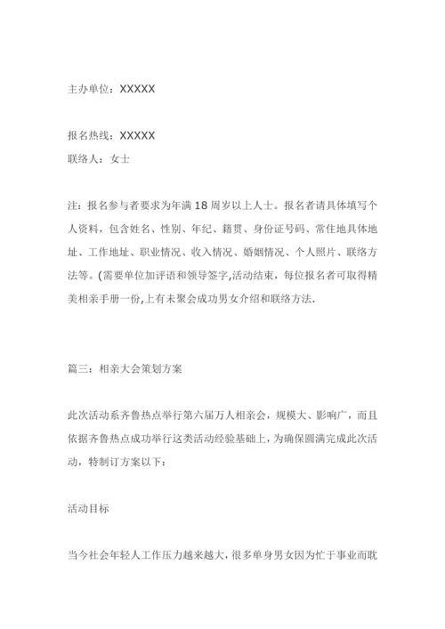 相亲大会专项策划专业方案.docx