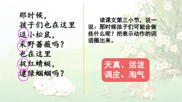 23祖先的摇篮（课件）