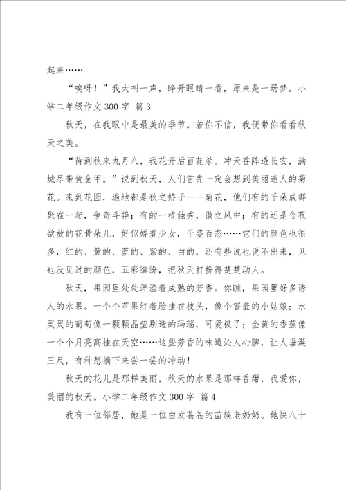 关于小学二年级作文300字合集八篇