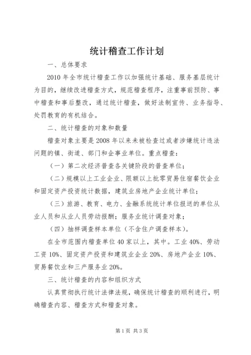 统计稽查工作计划.docx