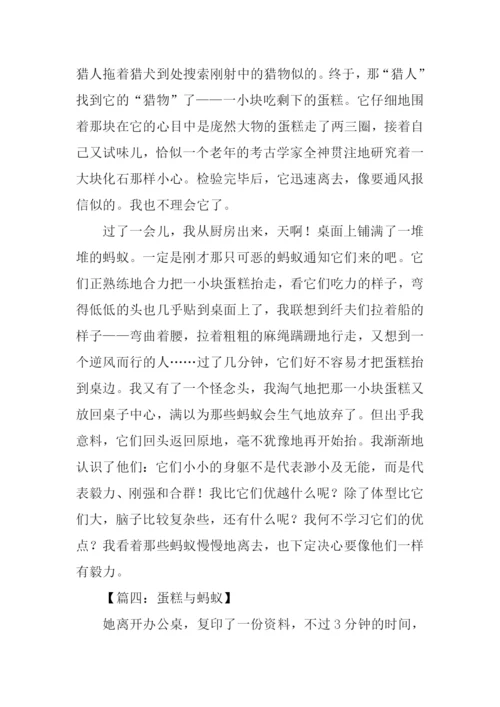 关于蚂蚁的作文600字.docx