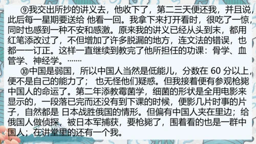 八年级上册期中复习