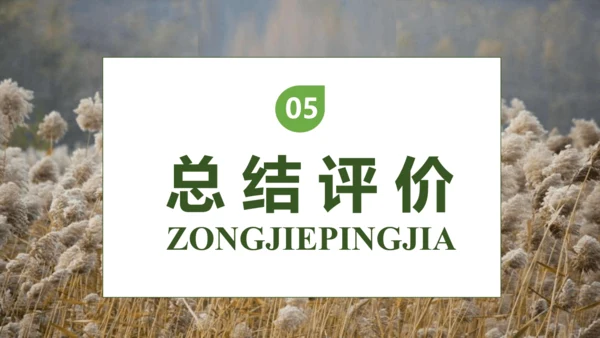 【核心素养】部编版语文四年级下册-21.芦花鞋（课件）