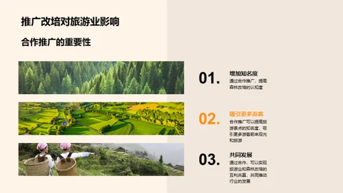 森林改培：旅游业新动力