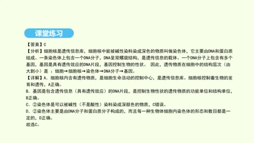 7.2.2基因在亲子代间的传递课件-人教版生物八年级下册(共29张PPT)