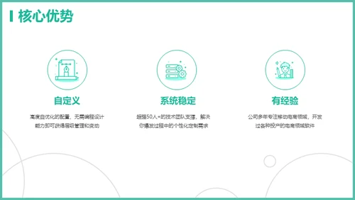 电商软件管理系统通用PPT模板