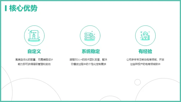 电商软件管理系统通用PPT模板