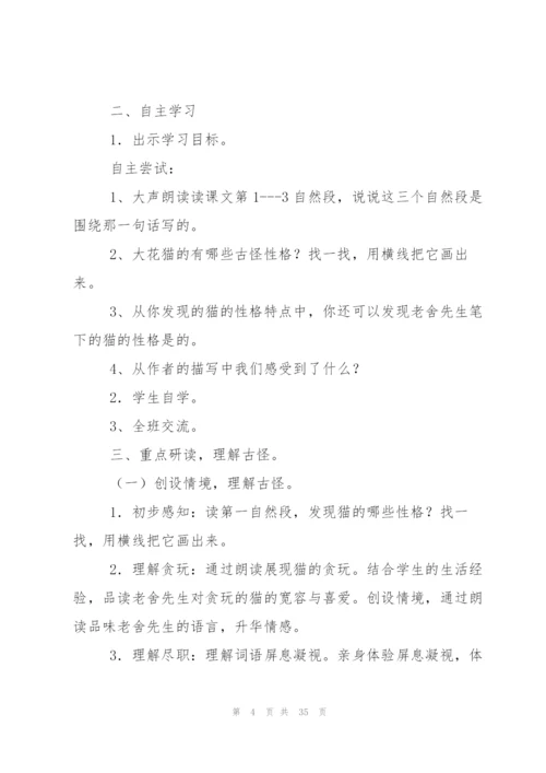 猫教案范文集锦8篇.docx