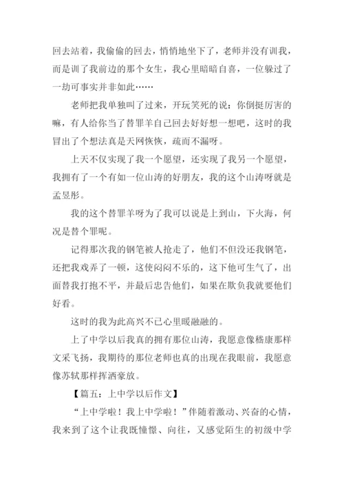 上中学以后作文.docx