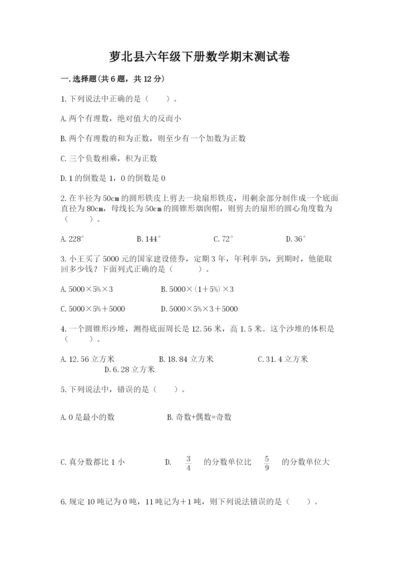 萝北县六年级下册数学期末测试卷（各地真题）.docx