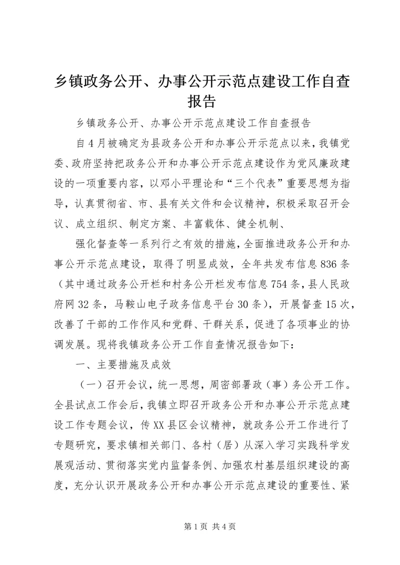 乡镇政务公开、办事公开示范点建设工作自查报告.docx