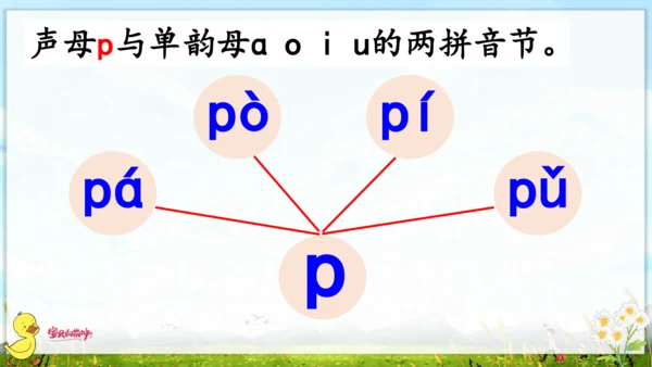 汉语拼音3  b p m f 课件