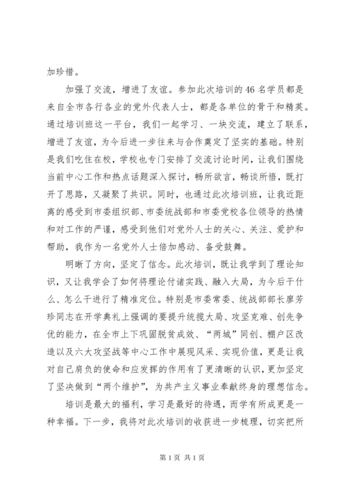 党外干部培训心得体会 (4).docx