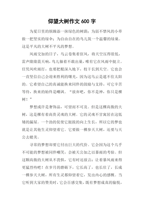仰望大树作文600字-1.docx