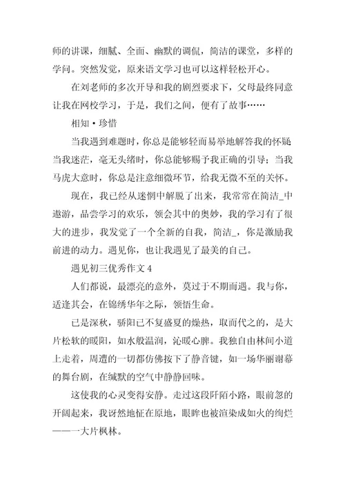 2024年遇见初三优秀作文