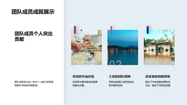 团队年度成就与展望