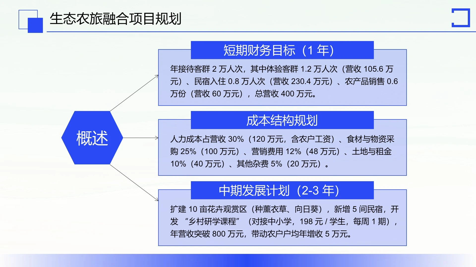 蓝色商务风项目汇报PPT单页
