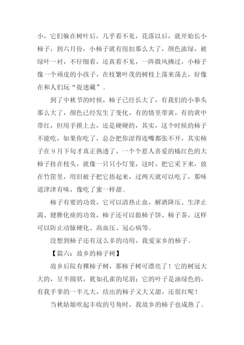 家乡的柿子树作文.docx
