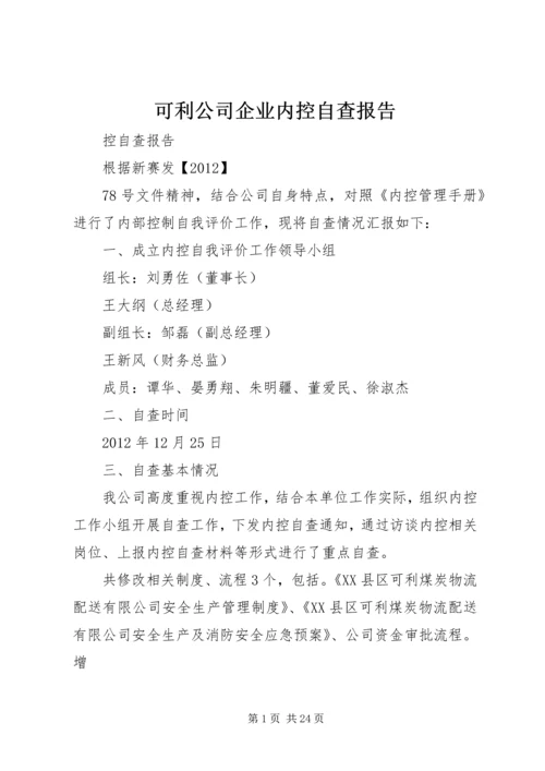 可利公司企业内控自查报告.docx