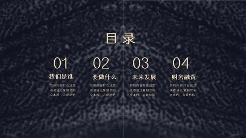 颗粒真皮质感计划书通用PPT模板