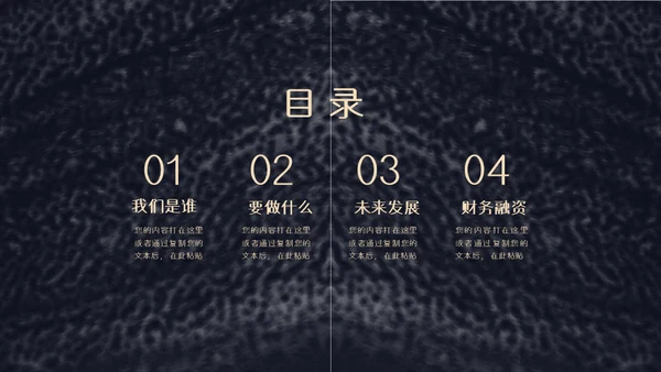 颗粒真皮质感计划书通用PPT模板