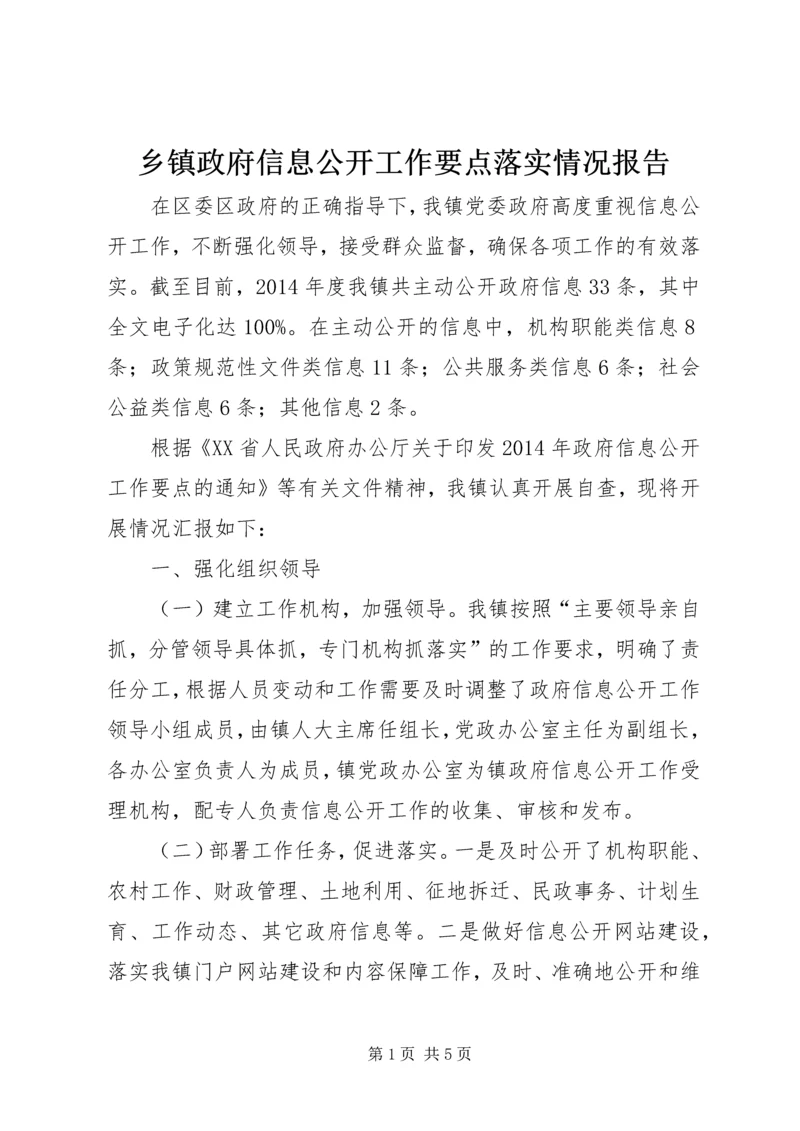 乡镇政府信息公开工作要点落实情况报告.docx