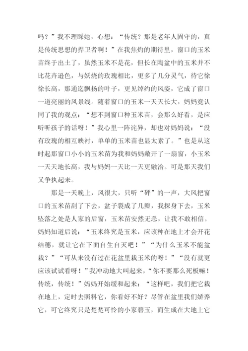 以窗口为题作文.docx