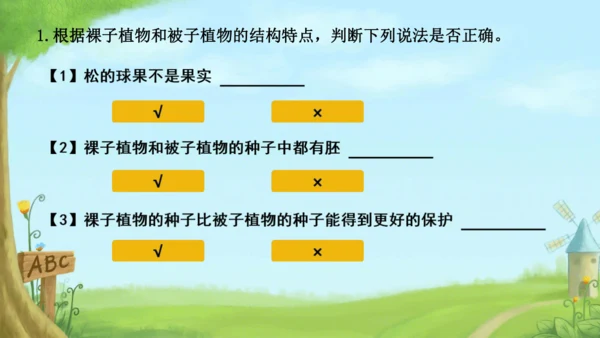 人教版（2024）七年级上册2.1.2 种子植物 课件(共32张PPT)+视频素材