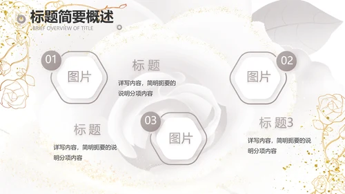 公司企业品牌化妆品介绍宣传PPT
