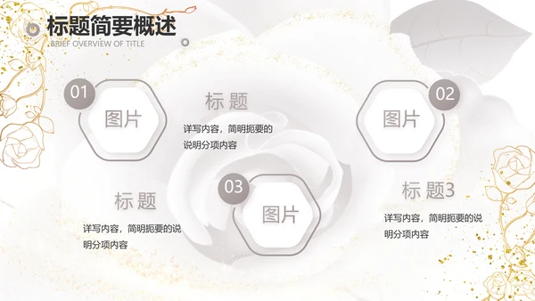 公司企业品牌化妆品介绍宣传PPT