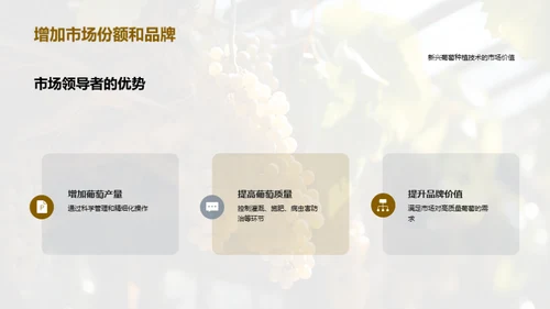 葡萄种植的创新之路