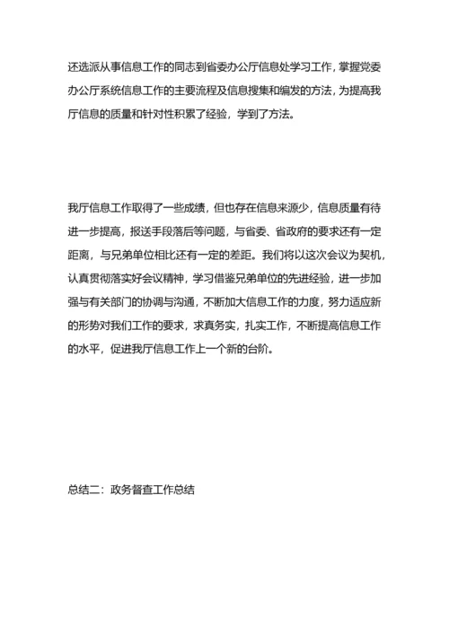 政务督查工作总结.docx