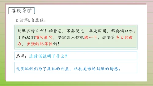 【课堂无忧】11. 一块奶酪 任务型教学（课件）