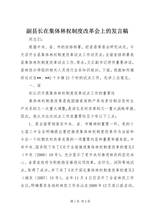 副县长在集体林权制度改革会上的发言稿.docx