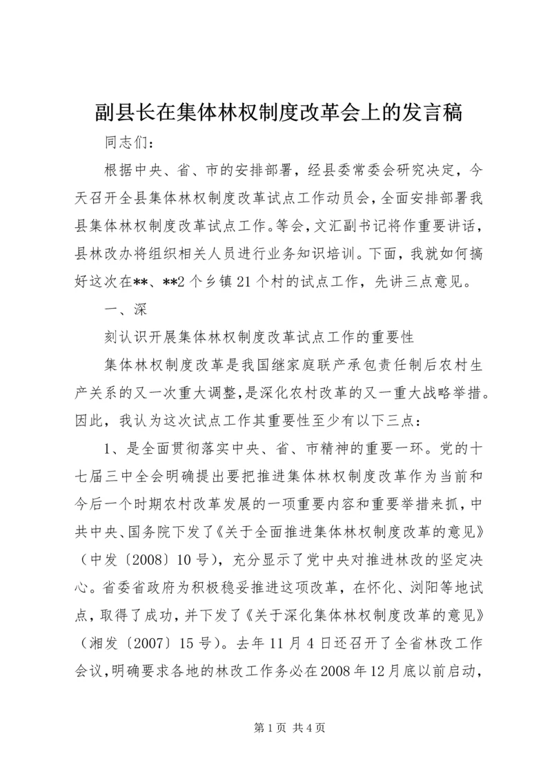 副县长在集体林权制度改革会上的发言稿.docx