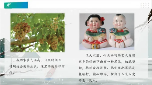 7请到我的家乡来（课件）（共28张PPT）（全一课）