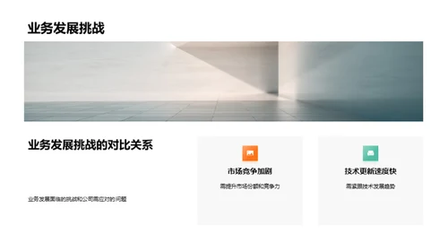 公司业务全纵览