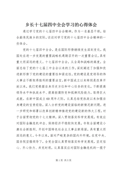 乡长十七届四中全会学习的心得体会.docx