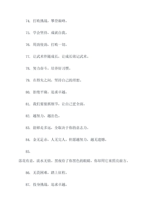 武术励志标语绘画素材大全