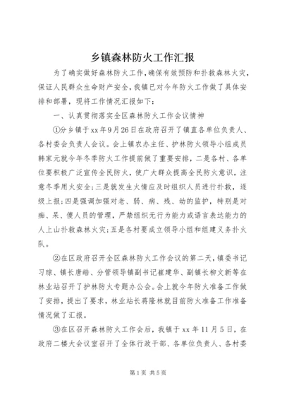 乡镇森林防火工作汇报.docx