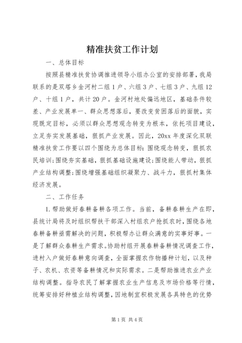 精准扶贫工作计划 (2).docx