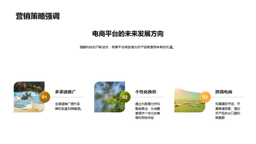 农产品电商销售策略