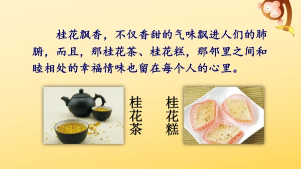 3 桂花雨   课件