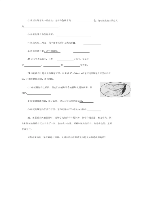 生物八年级上人教新课标5.1.3空中飞行的动物习题精选