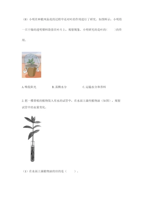 教科版科学四年级下册第一单元《植物的生长变化》测试卷（基础题）.docx